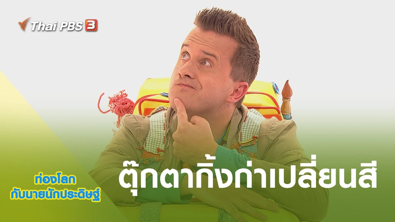 ตุ๊กตากิ้งก่าเปลี่ยนสี