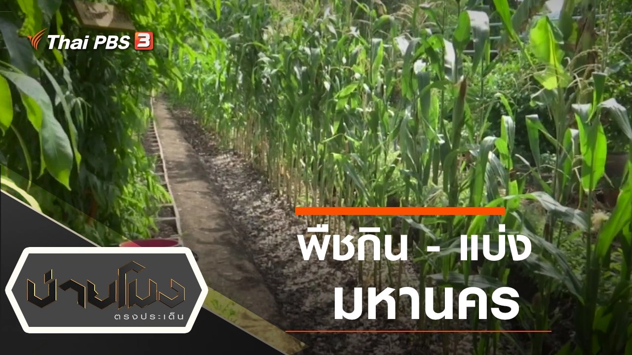 ประเด็นข่าว (12 พ.ค. 63)