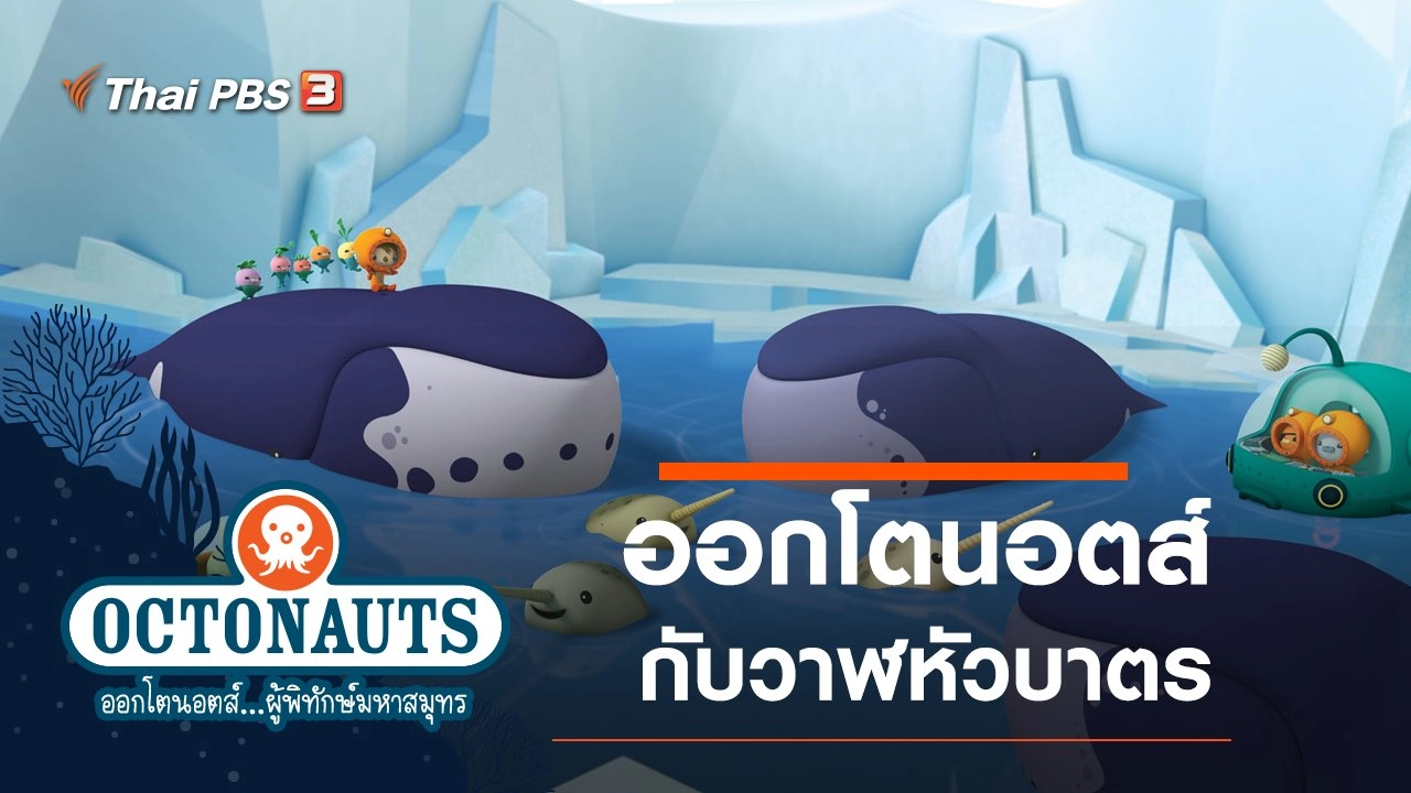 การ์ตูน ออกโตนอตส์...ผู้พิทักษ์มหาสมุทร
