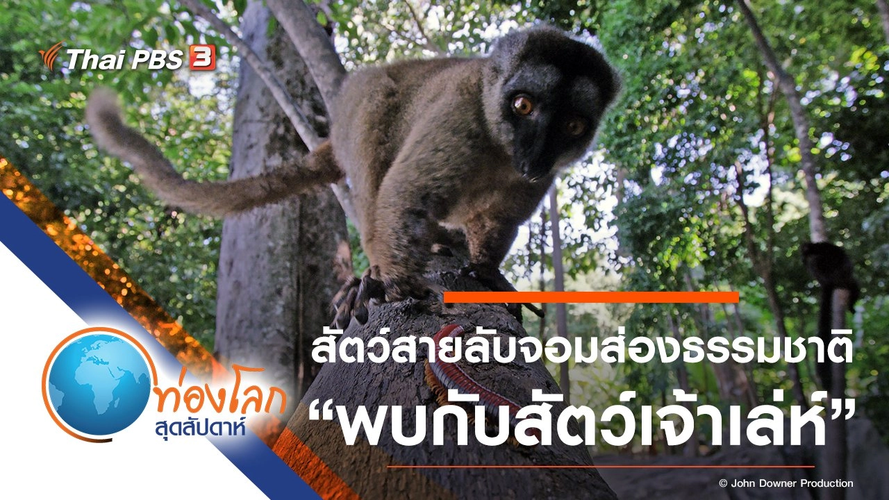 สัตว์สายลับจอมส่องธรรมชาติ ตอน พบกับสัตว์เจ้าเล่ห์