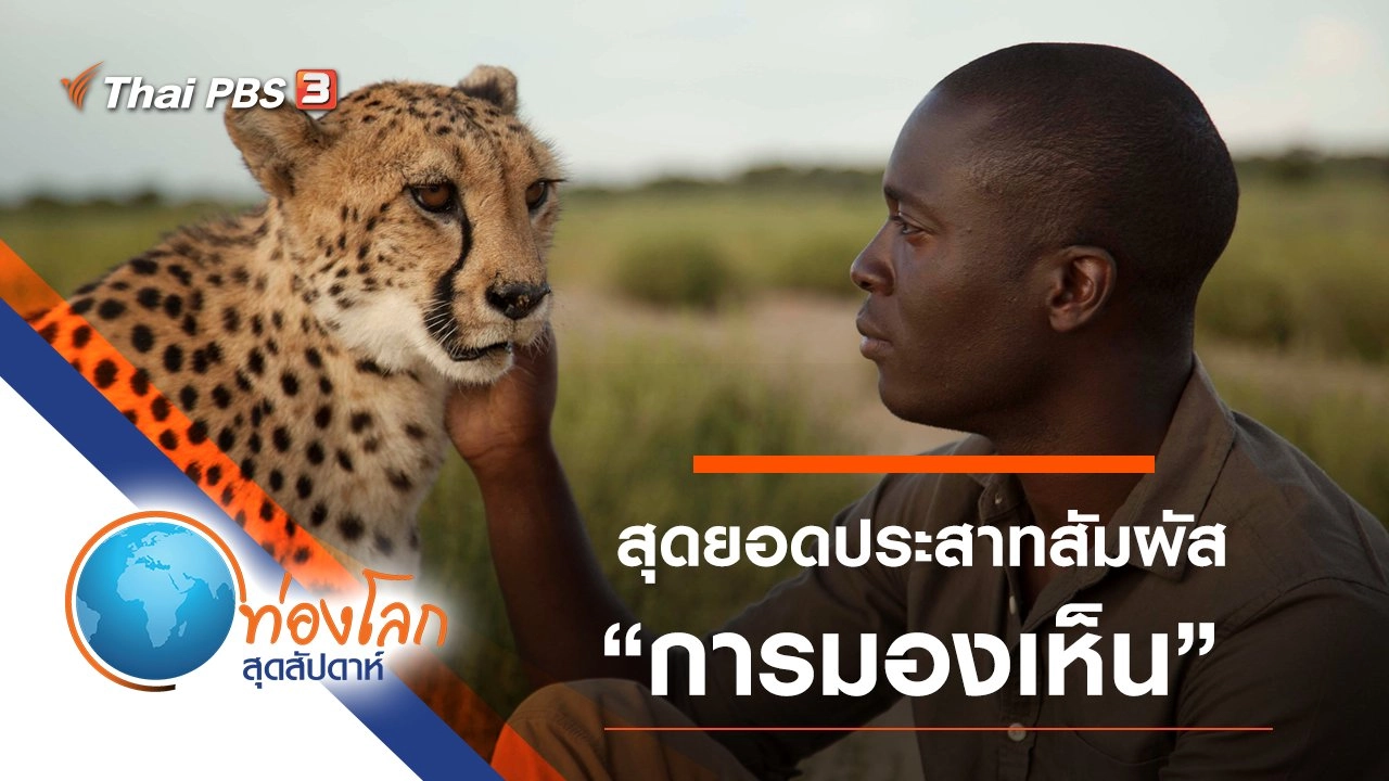 สุดยอดประสาทสัมผัส ตอน การมองเห็น