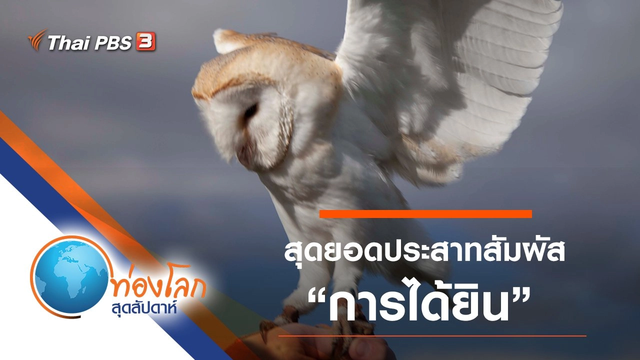 สุดยอดประสาทสัมผัส ตอน การได้ยิน