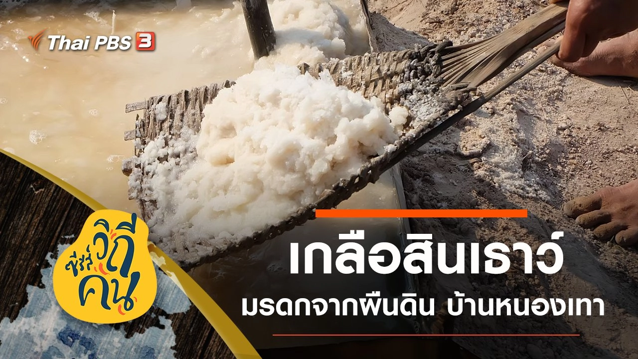 เกลือสินเธาว์ มรดกจากผืนดิน บ้านหนองเทา ต.นาแก  อ.คำเขื่อนแก้ว จ.ยโสธร