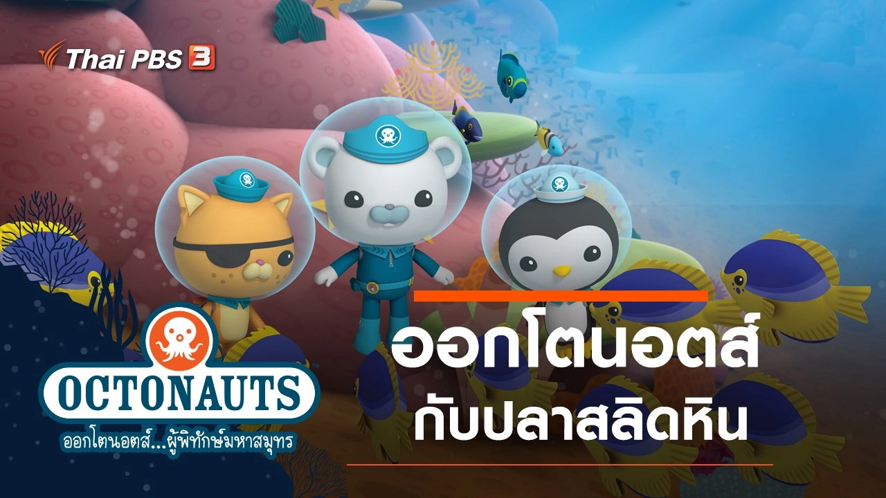 ออกโตนอตส์กับปลาสลิดหิน