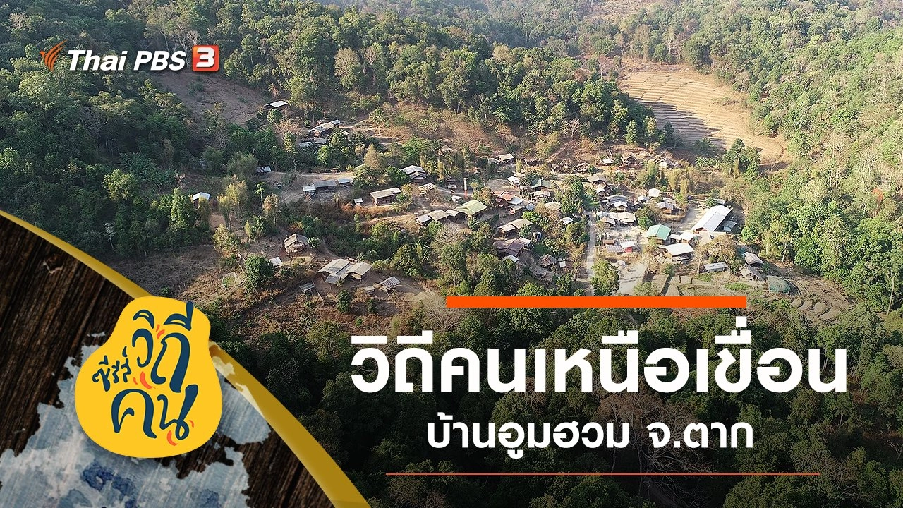 วิถี "คนเหนือเขื่อน" บ้านอูมฮวม ต.บ้านนา อ.สามเงา จ.ตาก