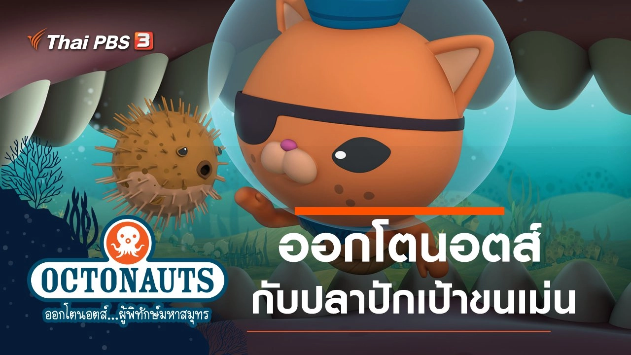 ออกโตนอตส์กับปลาปักเป้าขนเม่น