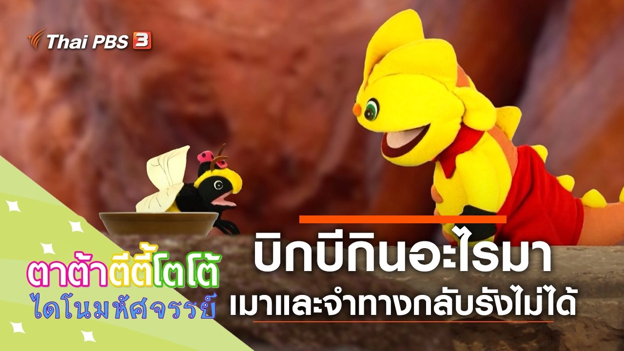 บิกบีกินอะไรมา