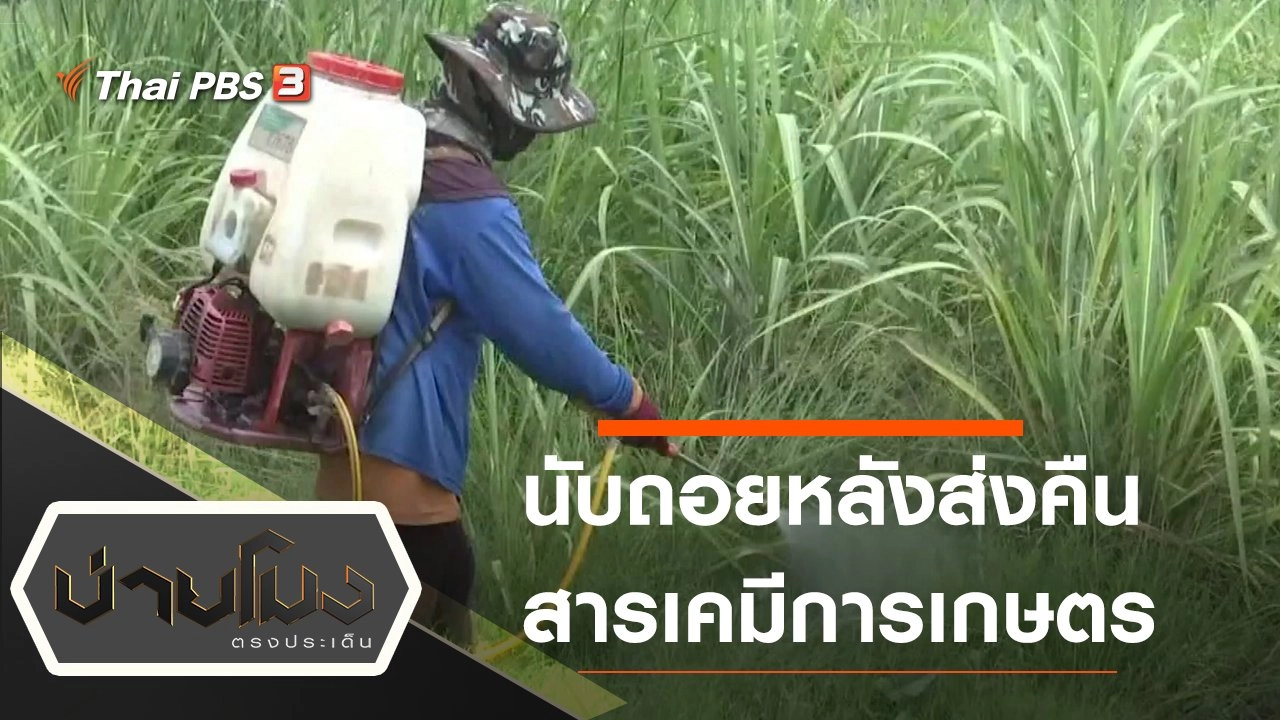 ประเด็นข่าว (19 ส.ค. 63)