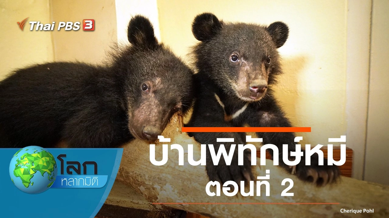 บ้านพิทักษ์หมี ตอนที่ 2