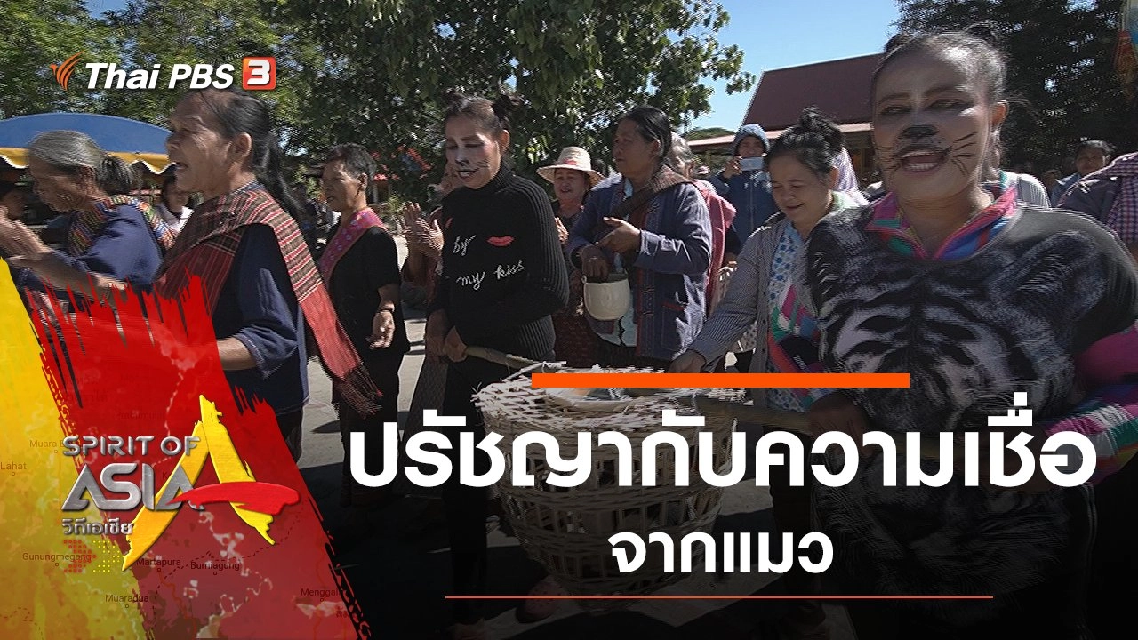 ปรัชญากับความเชื่อจากแมว