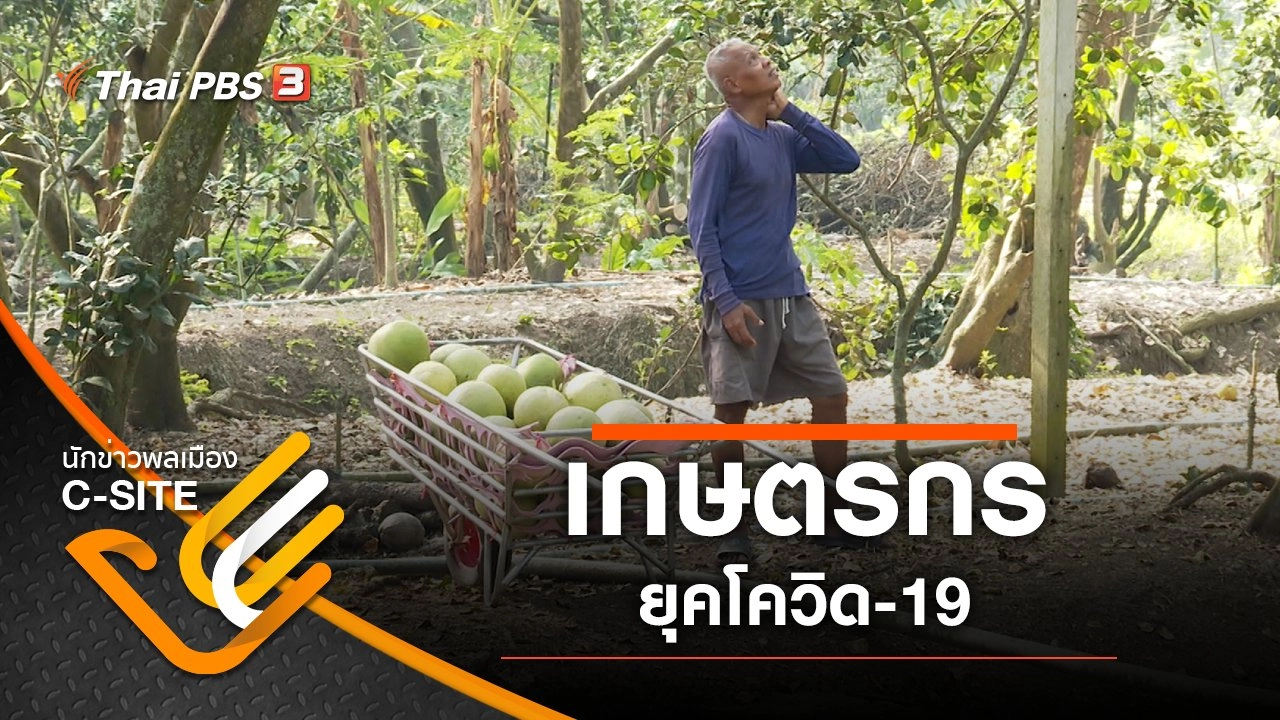 เกษตรกรยุคโควิด-19