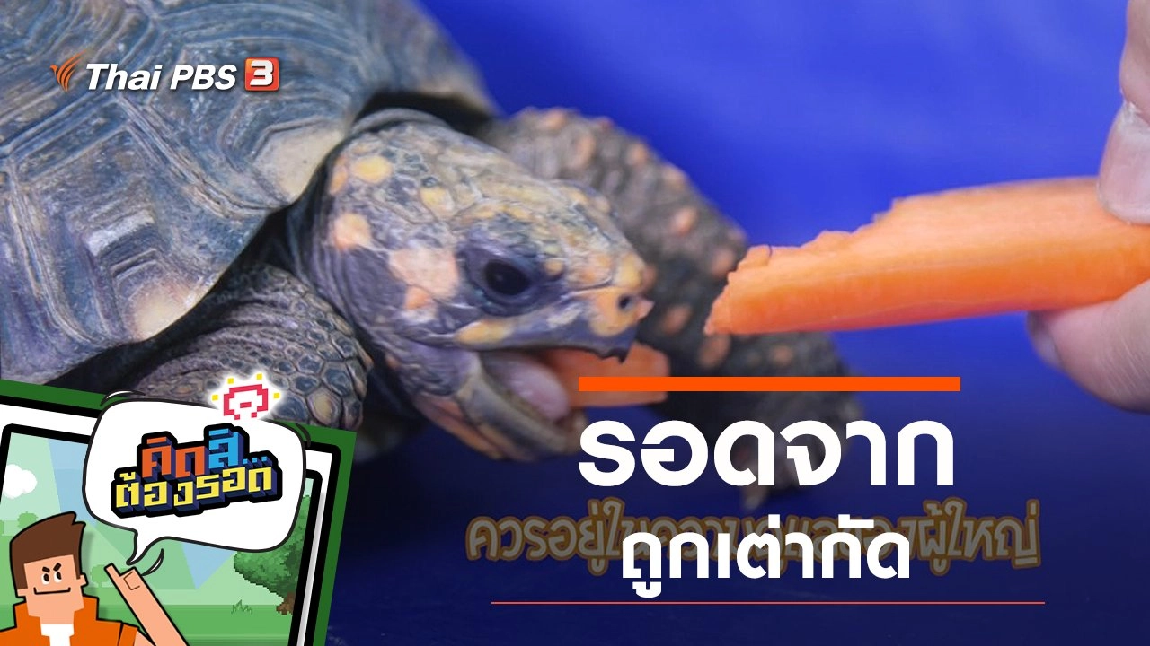 รอดจากถูกเต่ากัด