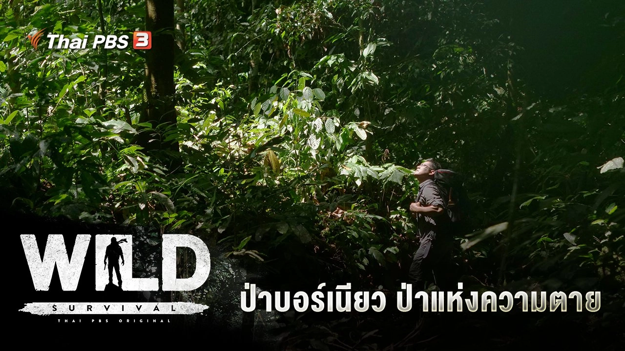 ป่าบอร์เนียว ป่าแห่งความตาย