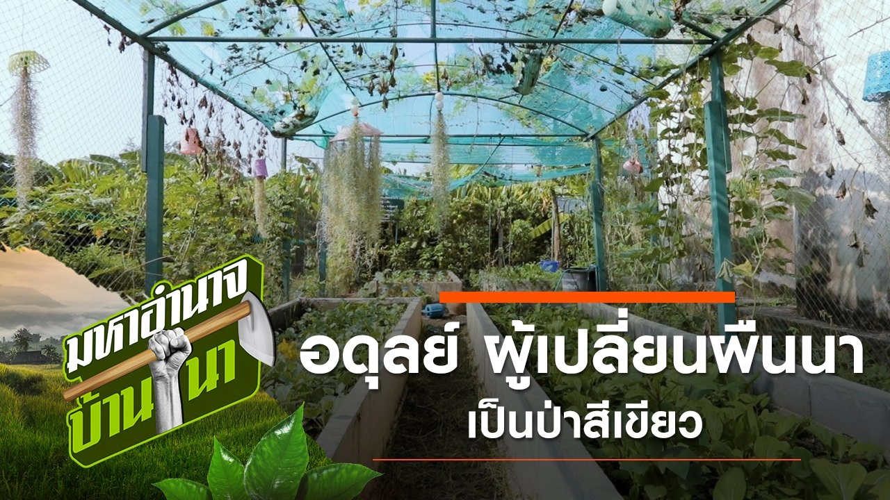 อดุลย์ ผู้เปลี่ยนผืนนาเป็นป่าสีเขียว