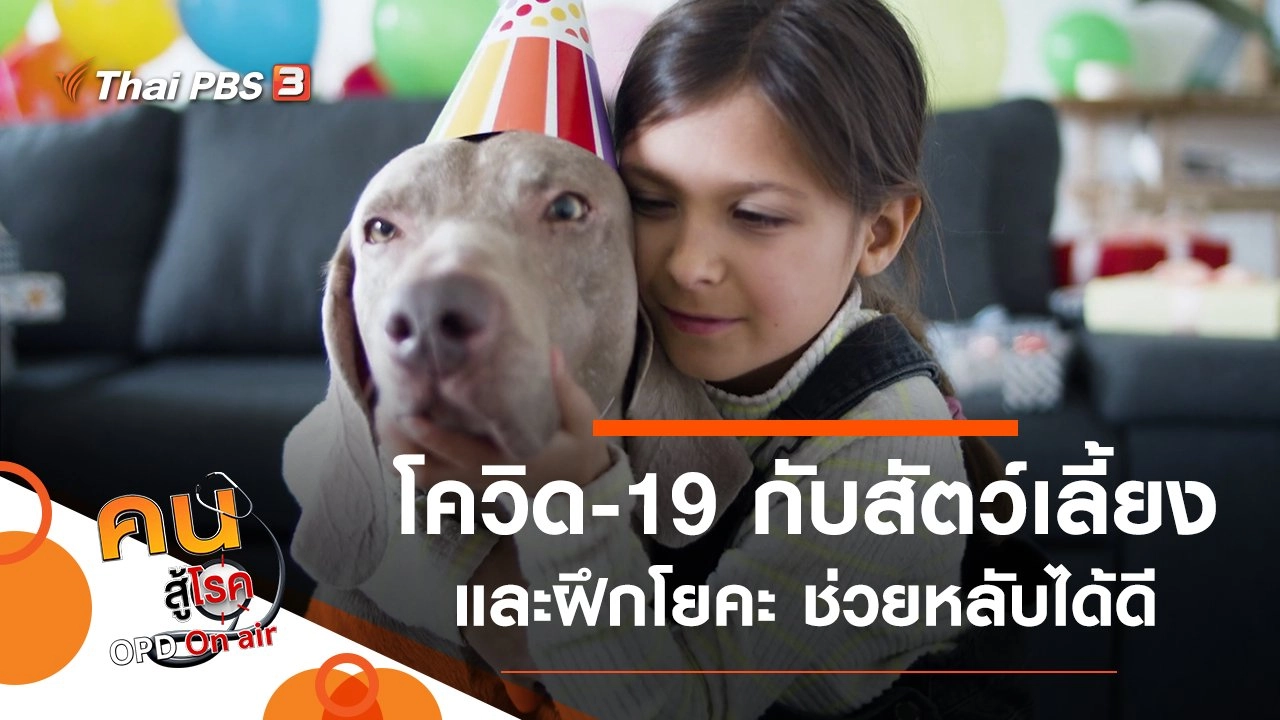 โควิด-19 กับสัตว์เลี้ยง, ฝึกโยคะช่วยหลับได้ดี