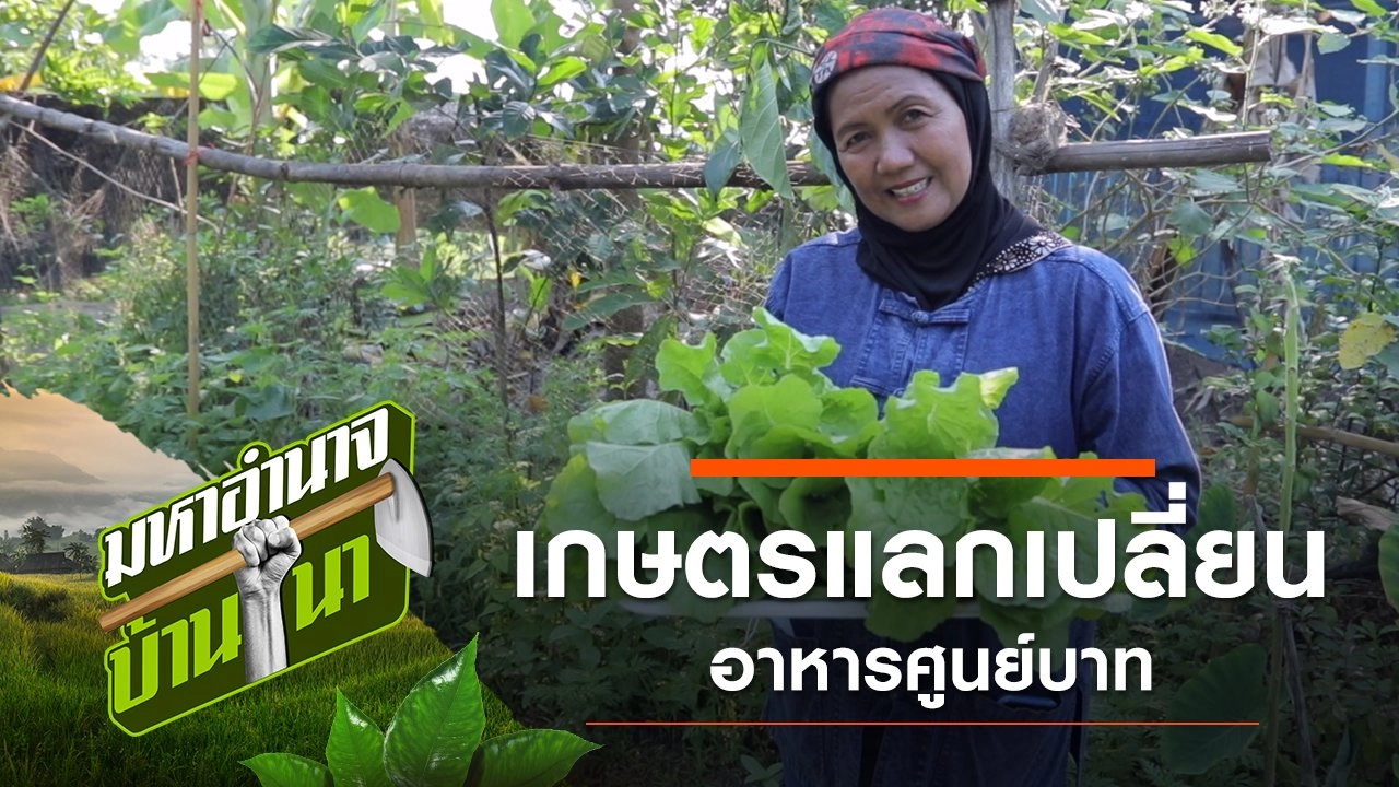 พี่บุษบา เกษตรแลกเปลี่ยน อาหารศูนย์บาท