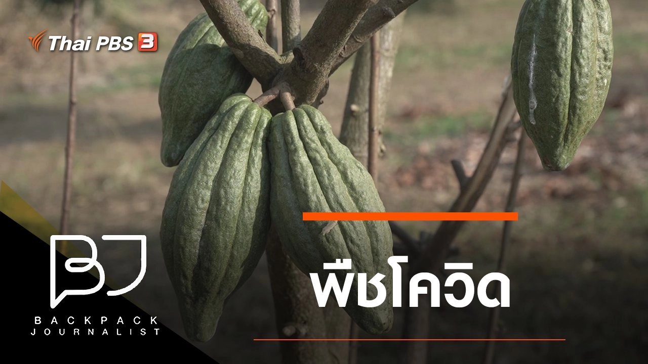 พืชโควิด