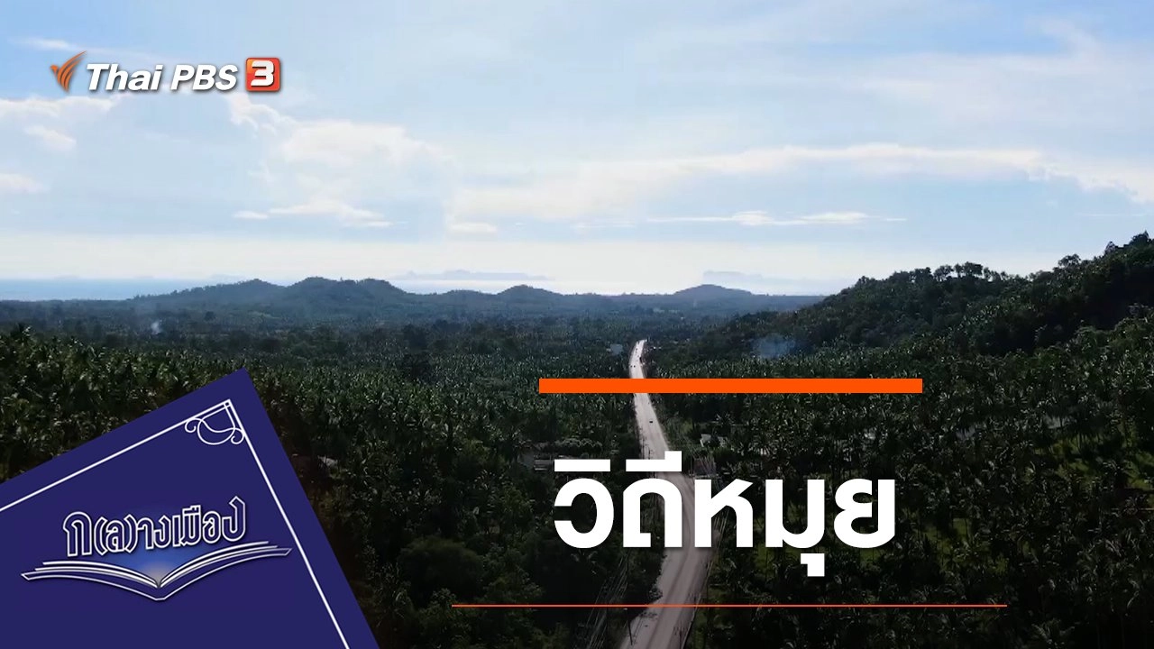 วิถีหมุย