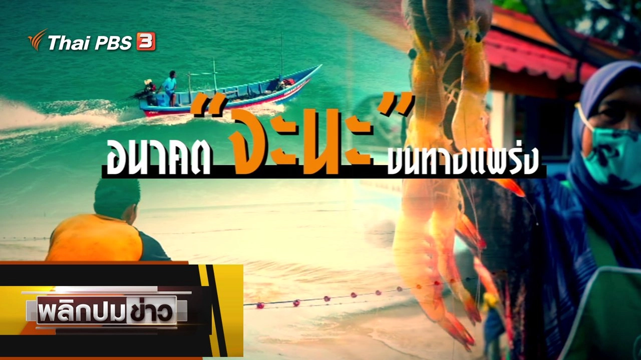 อนาคตจะนะ บนทางแพร่ง