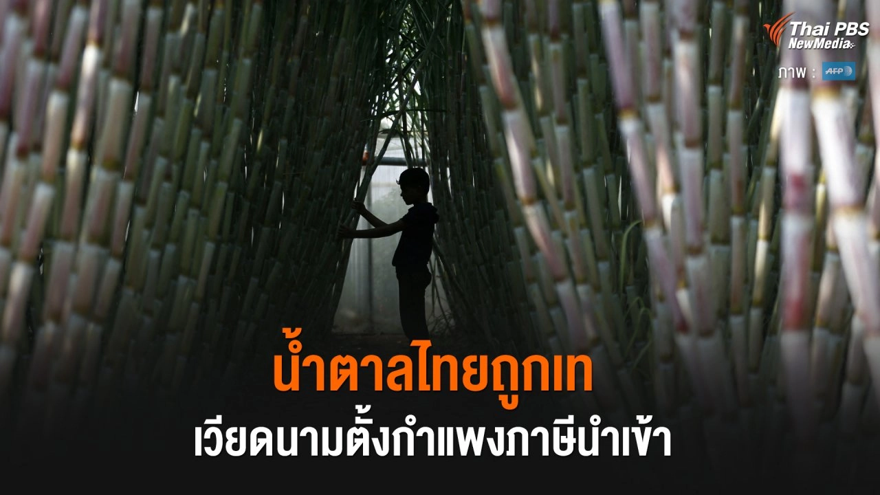 ​น้ำตาลไทยถูกเท เวียดนามตั้งกำแพงภาษีนำเข้า