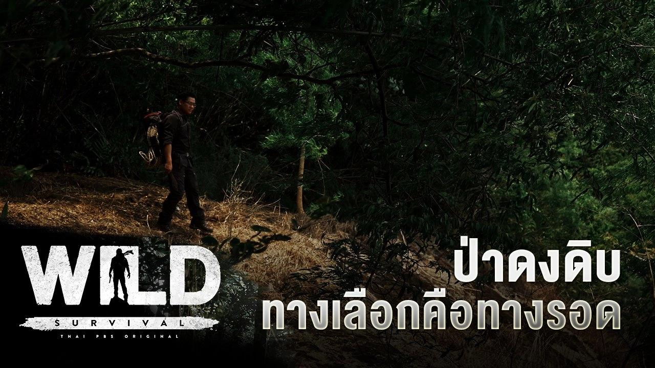 ป่าดงดิบ ทางเลือกคือทางรอด