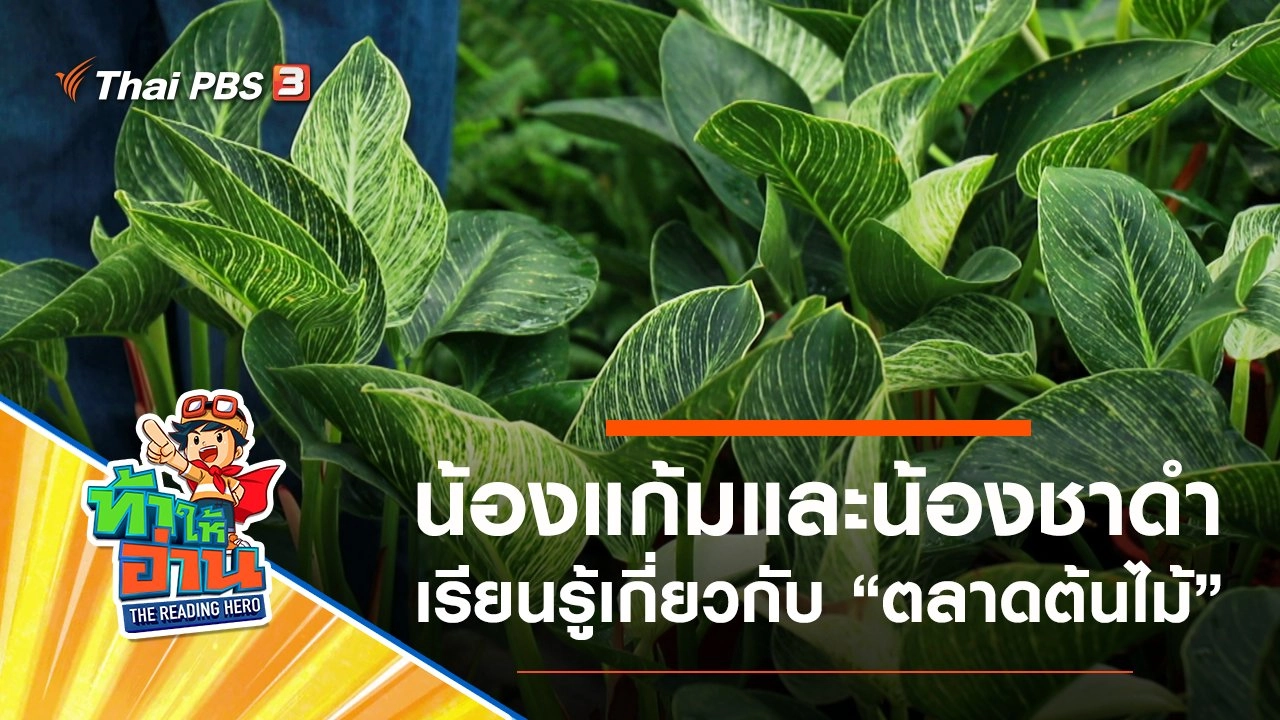 ตลาดต้นไม้ : น้องแก้มและน้องชาดำ