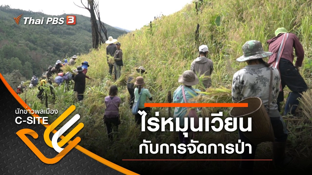 ไร่หมุนเวียนกับการจัดการป่า