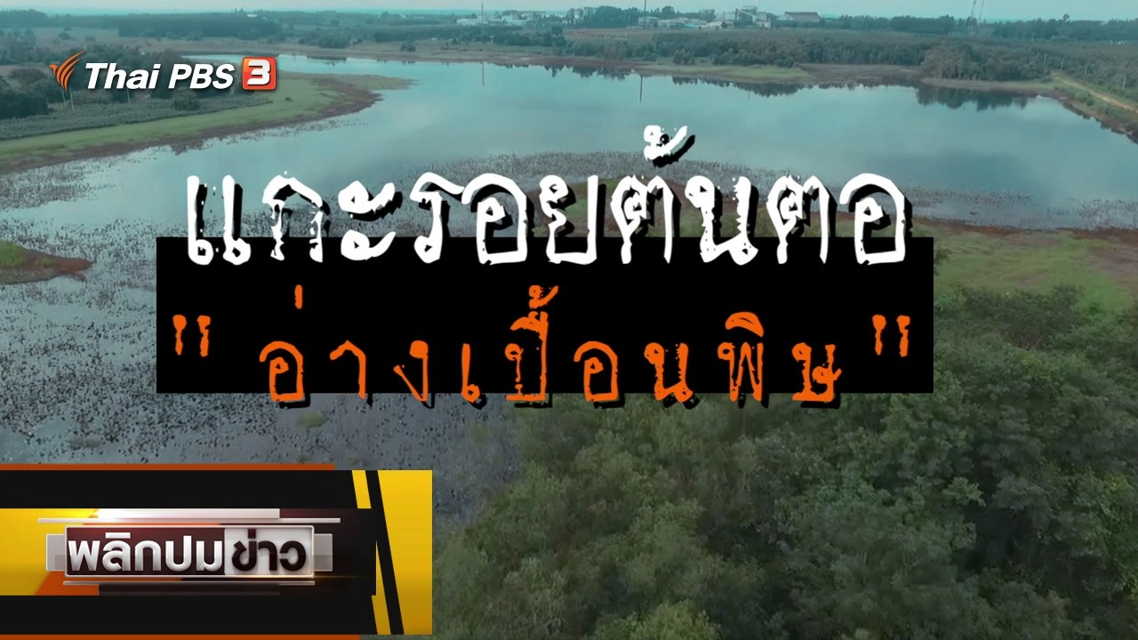 แกะรอยต้นตออ่างเปื้อนพิษ