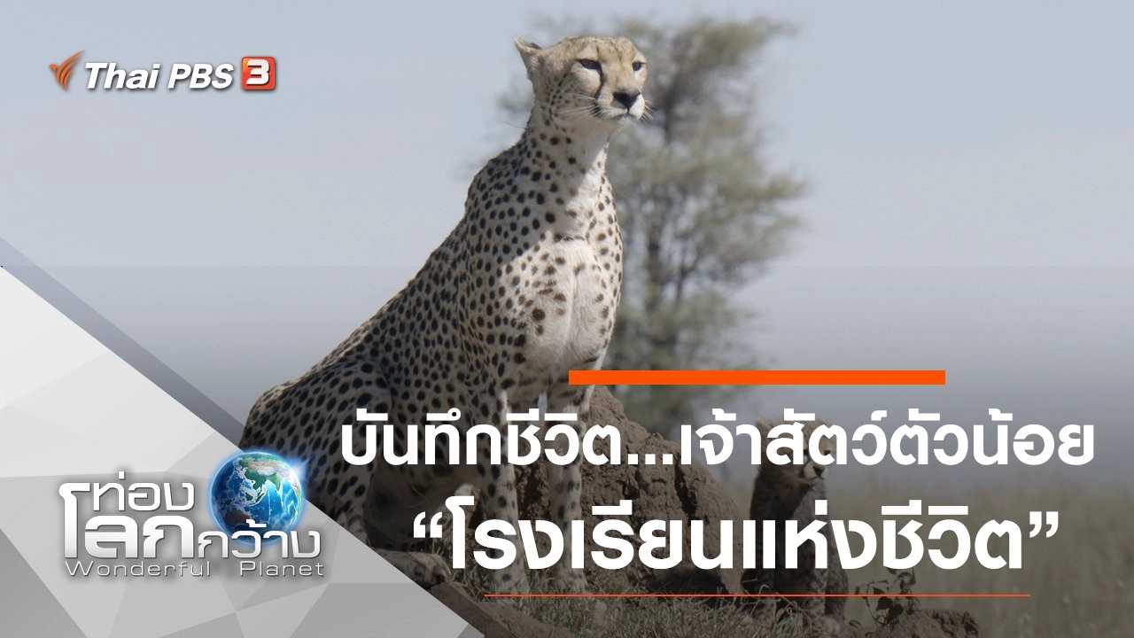 บันทึกชีวิต...เจ้าสัตว์ตัวน้อย ตอน โรงเรียนแห่งชีวิต