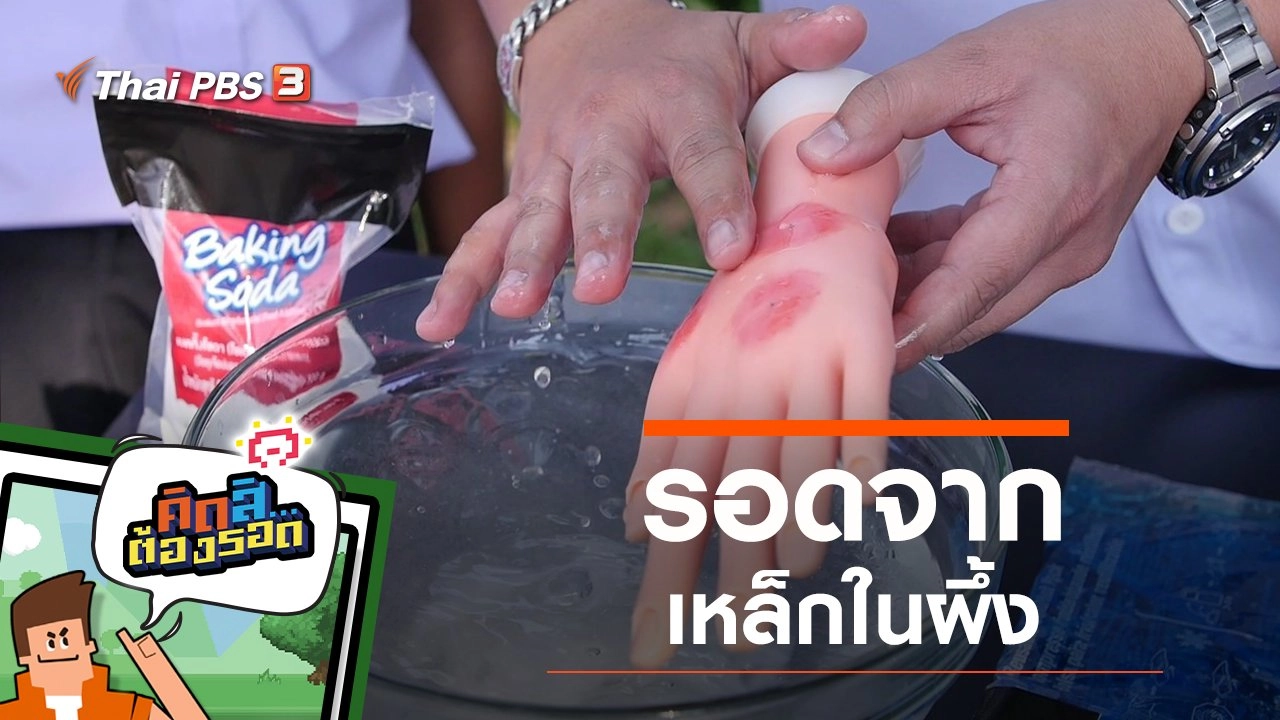 รอดจากเหล็กในผึ้ง