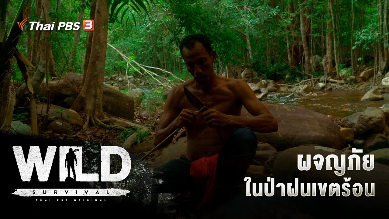 ผจญภัยในป่าฝนเขตร้อน