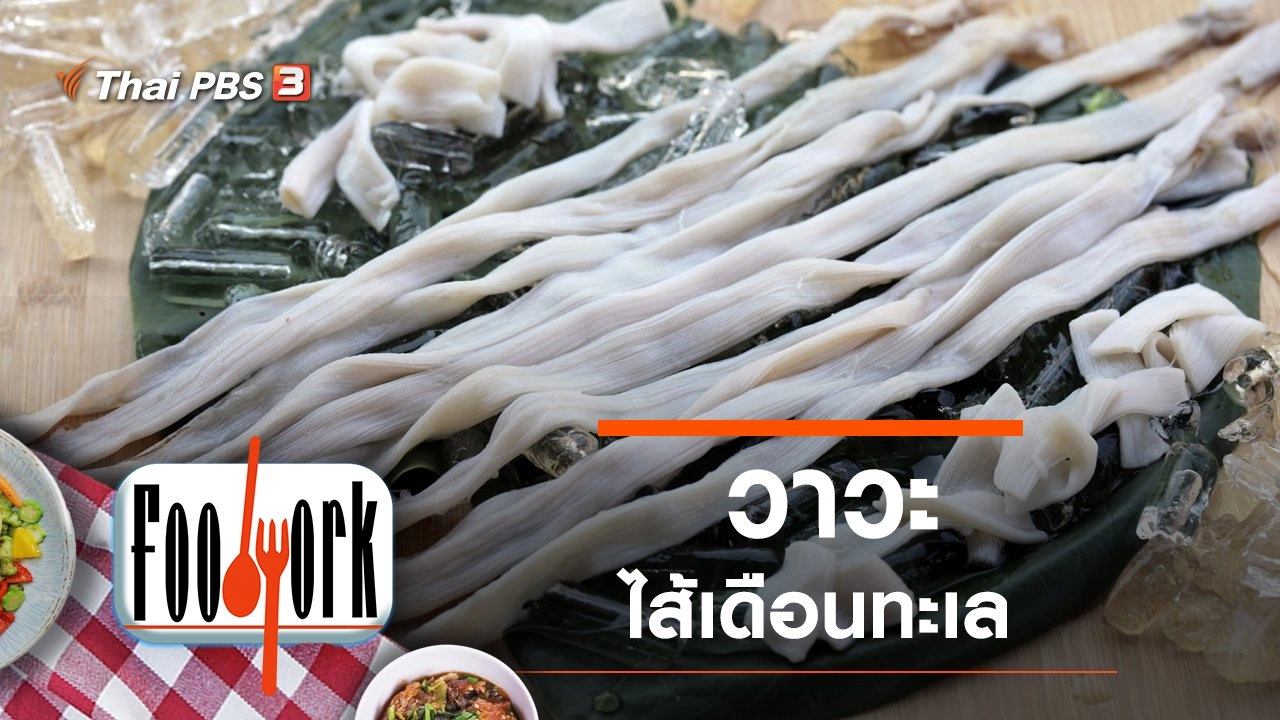 วาวะ...ไส้เดือนทะเล