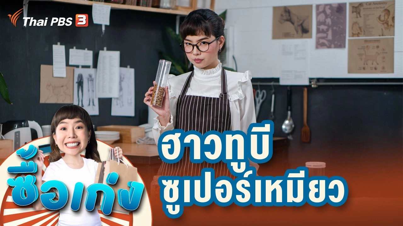 ฮาวทูบีซูเปอร์เหมียว