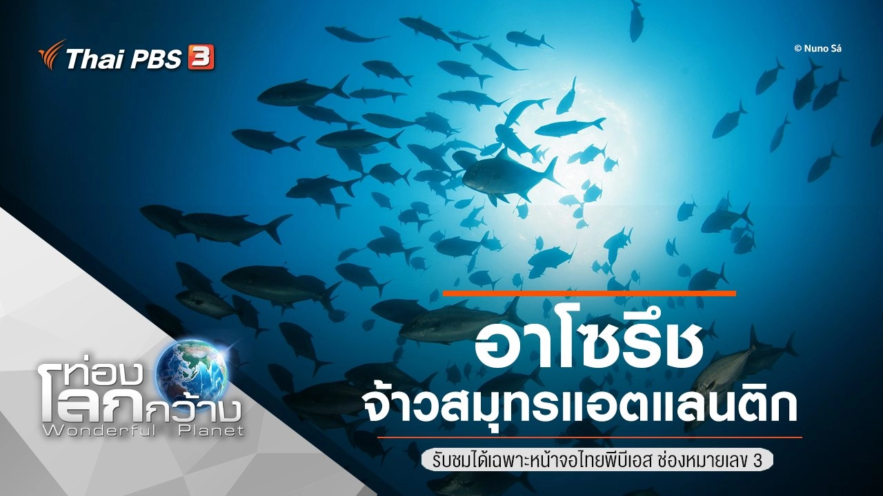 อาโซรึช จ้าวสมุทรแอตแลนติก