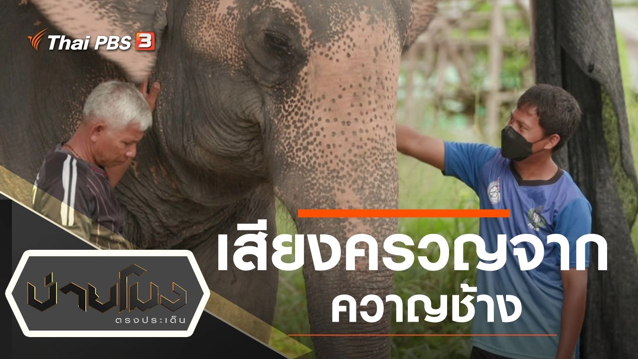 ประเด็นข่าว (19 ต.ค. 64)