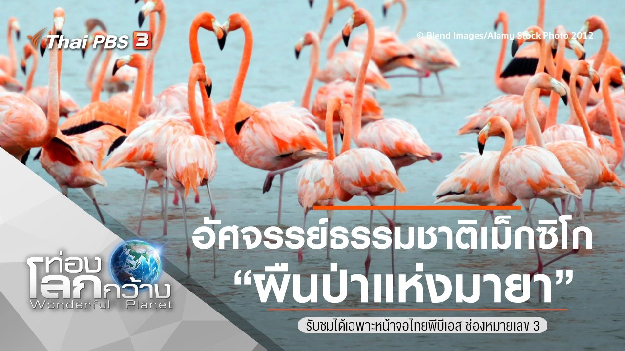 อัศจรรย์ธรรมชาติเม็กซิโก ตอน ผืนป่าแห่งมายา