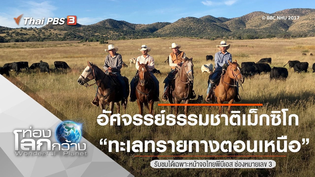 อัศจรรย์ธรรมชาติเม็กซิโก ตอน ทะเลทรายทางตอนเหนือ
