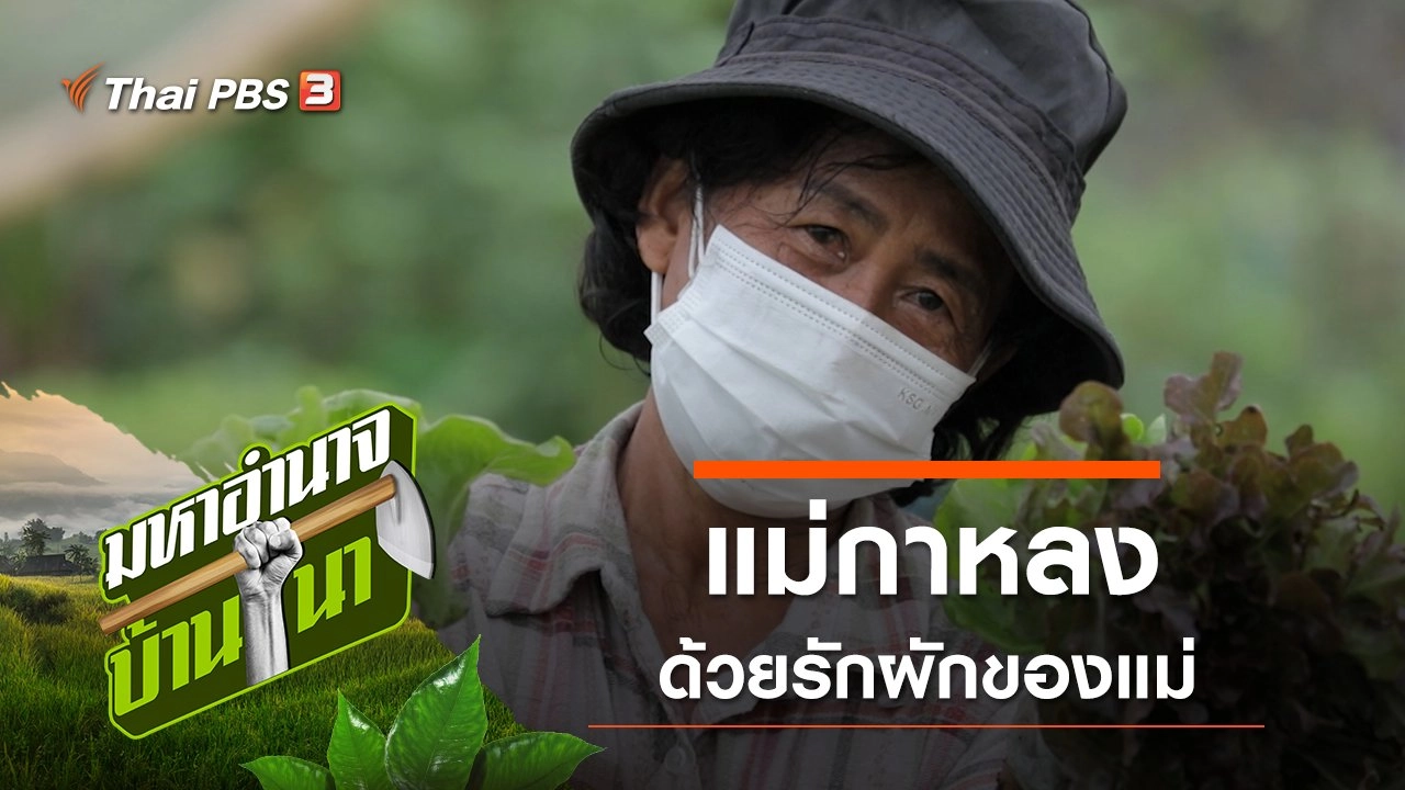 แม่กาหลง ด้วยรักผักของแม่