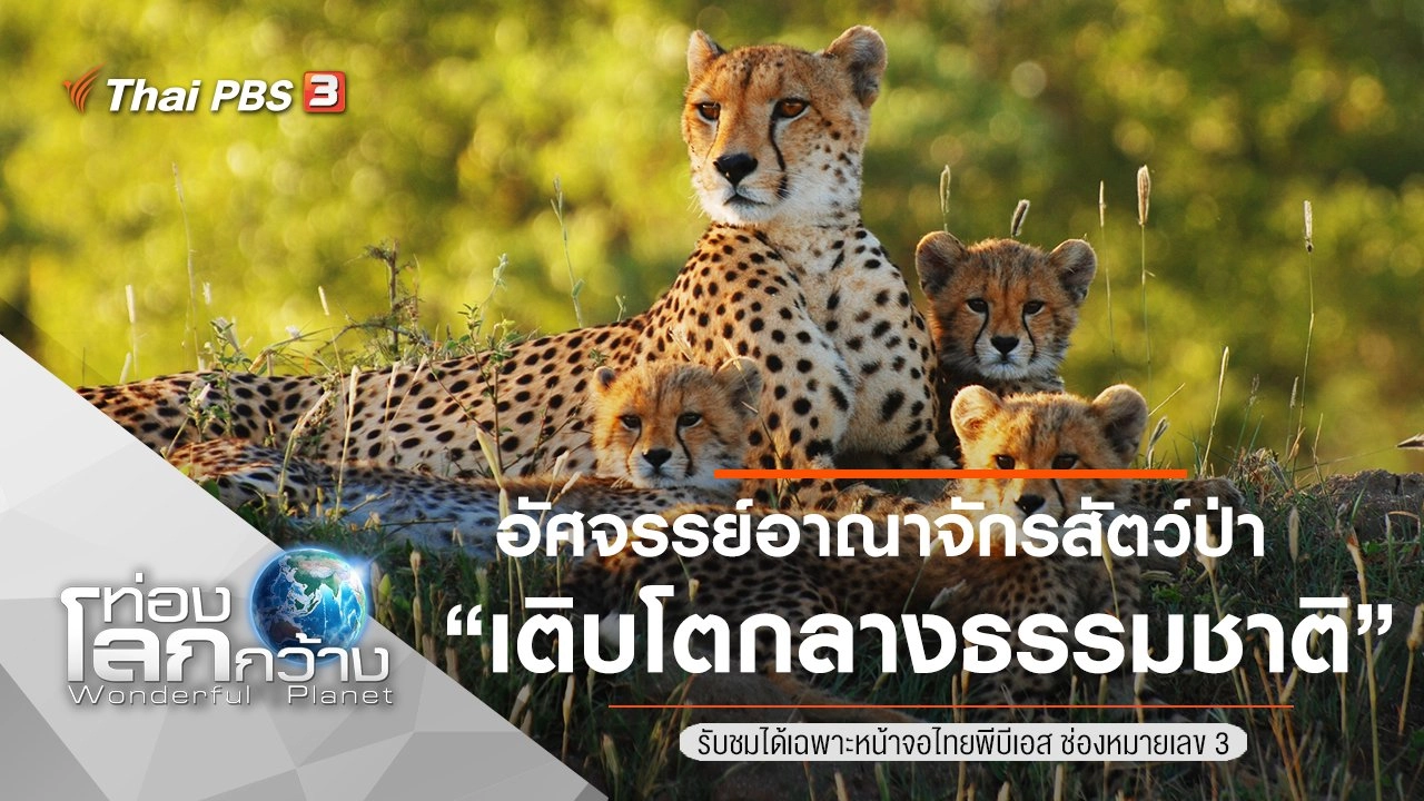 อัศจรรย์อาณาจักรสัตว์ป่า ตอน เติบโตกลางธรรมชาติ