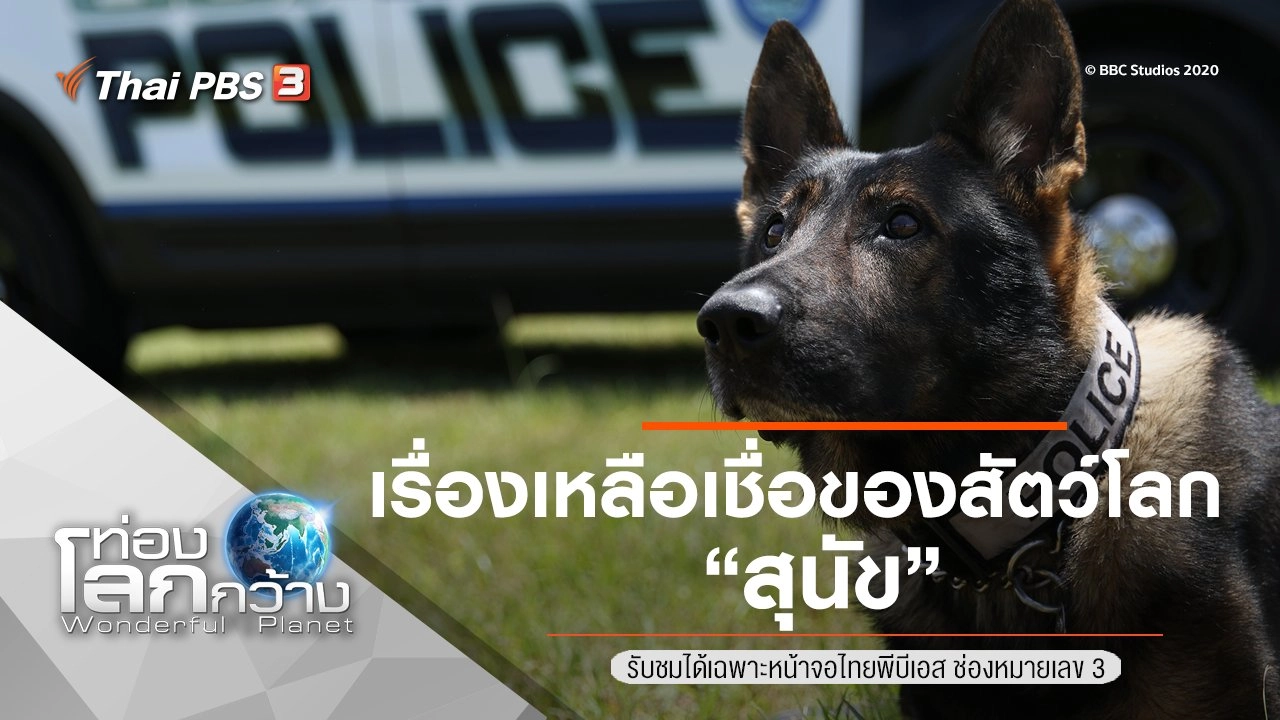 เรื่องเหลือเชื่อของสัตว์โลก ตอน สุนัข