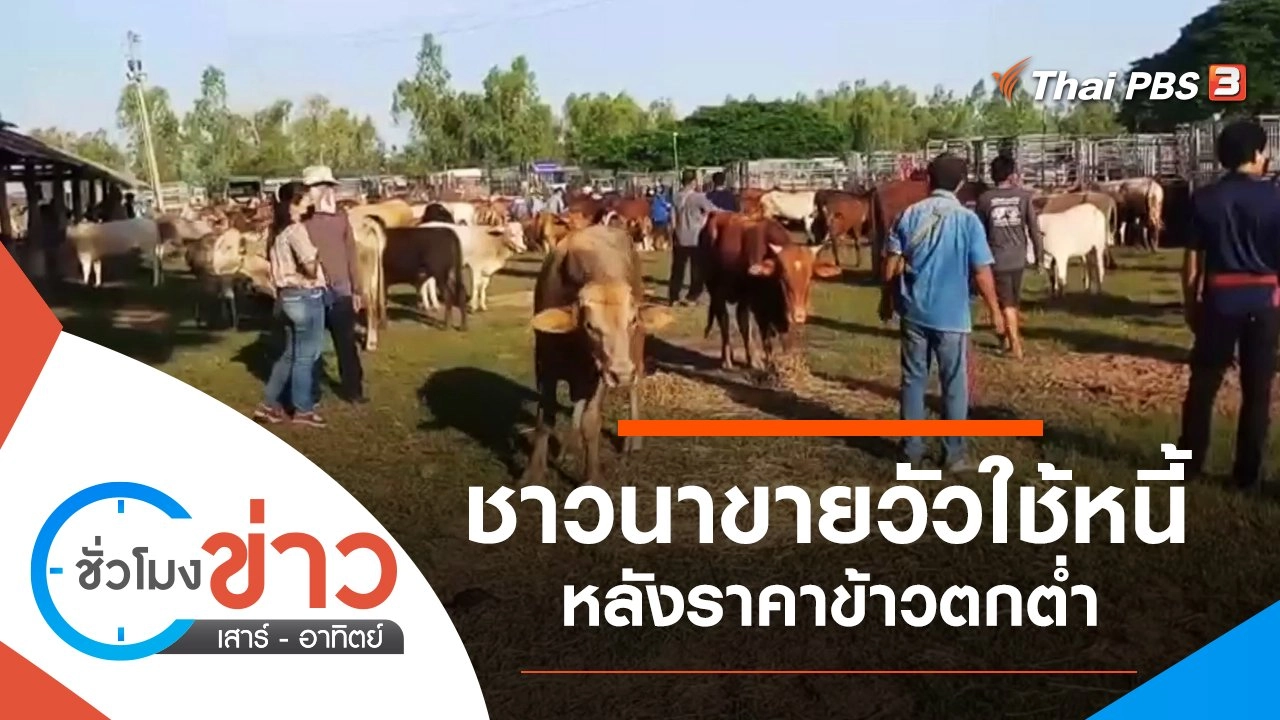 ประเด็นข่าว (6 พ.ย. 64)