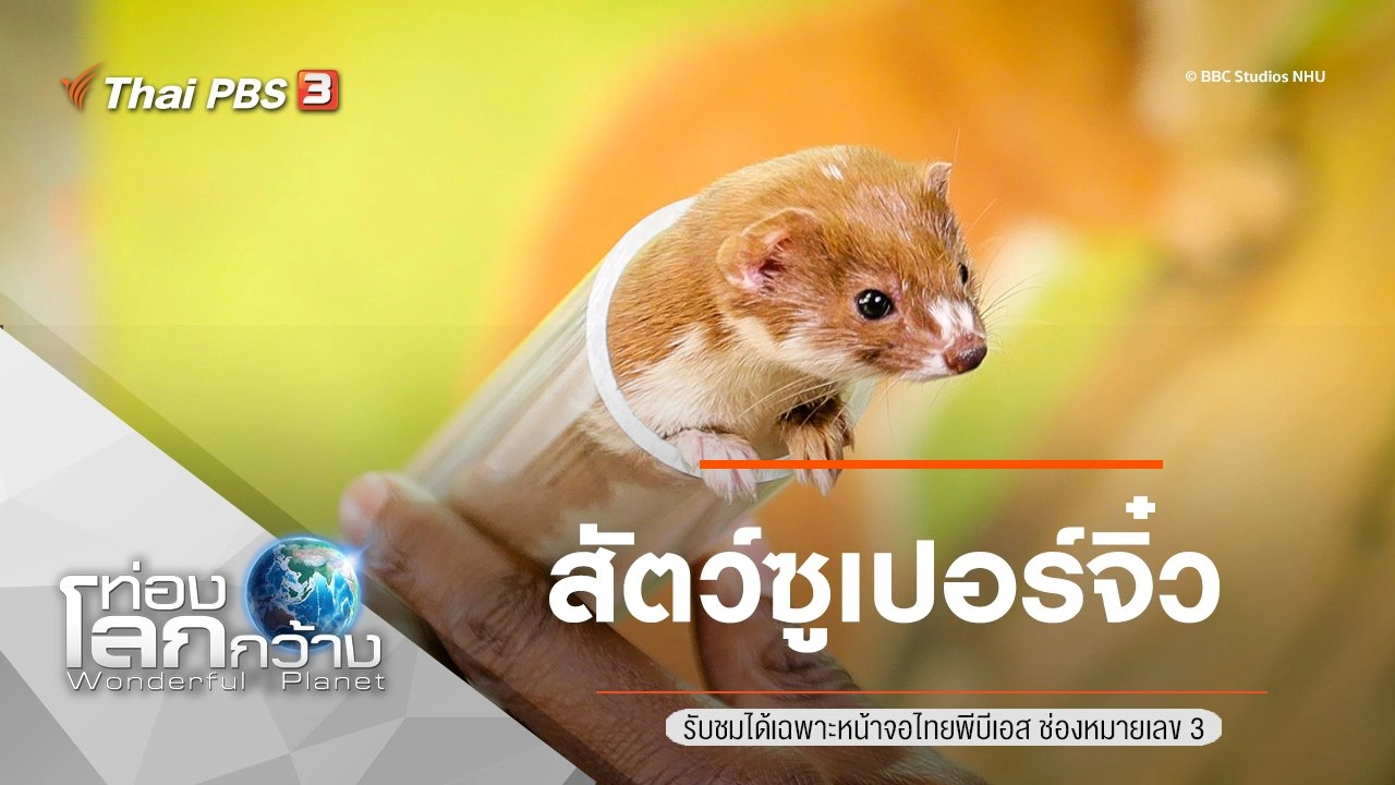 สัตว์ซูเปอร์จิ๋ว