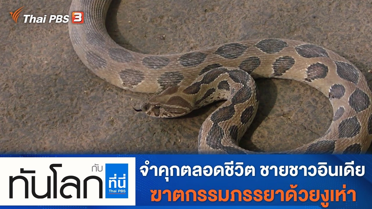 ประเด็นข่าว (22 พ.ย. 64)