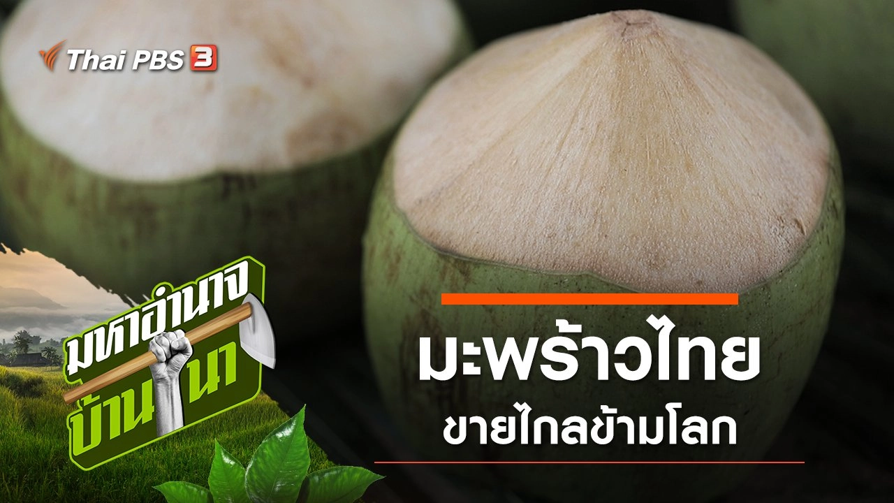 มะพร้าวไทย ขายไกลข้ามโลก