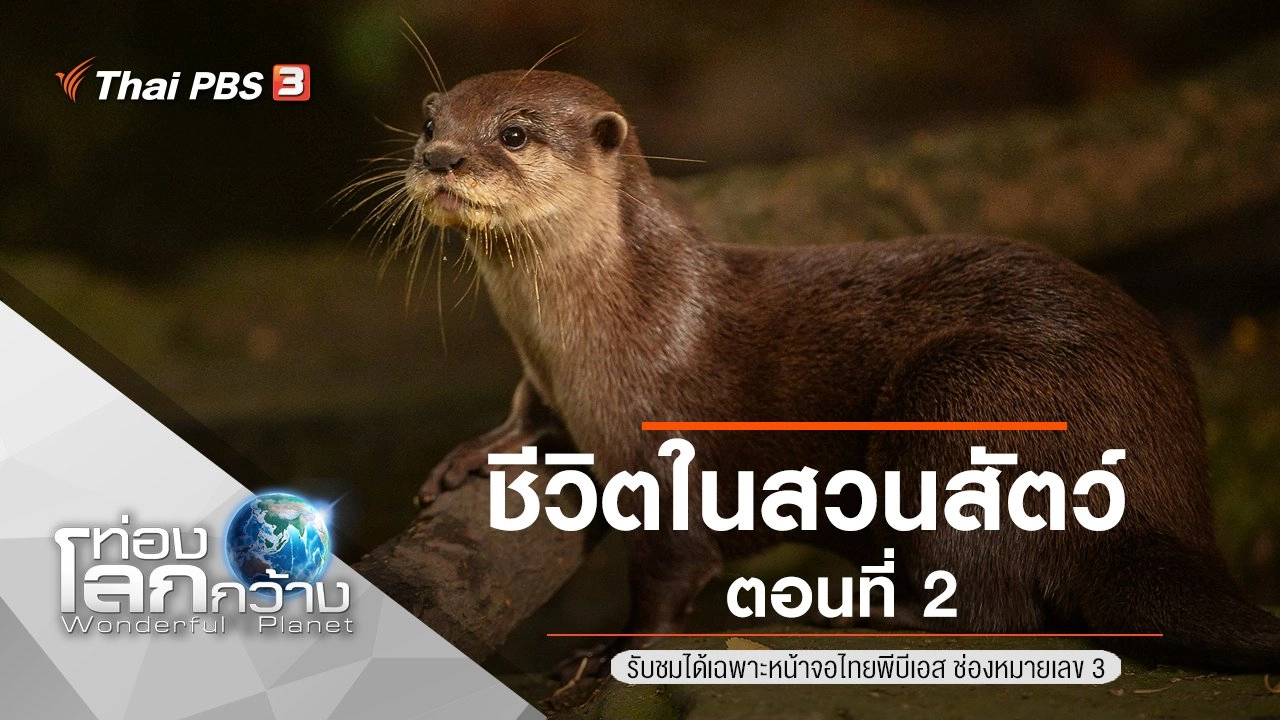 ชีวิตในสวนสัตว์ ตอนที่ 2