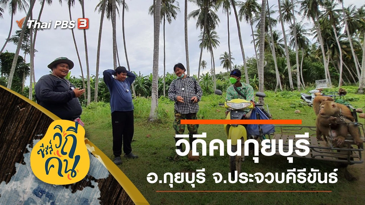 วิถีคนกุยบุรี อ.กุยบุรี จ.ประจวบคีรีขันธ์