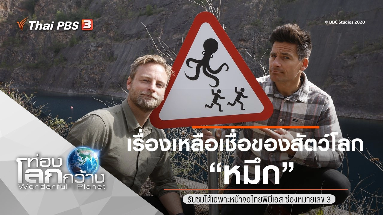 เรื่องเหลือเชื่อของสัตว์โลก ตอน หมึก