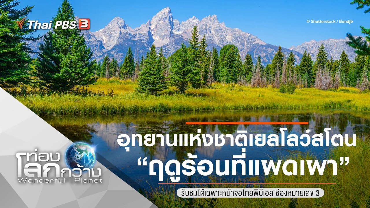 อุทยานแห่งชาติเยลโลว์สโตน ตอน ฤดูร้อนที่แผดเผา