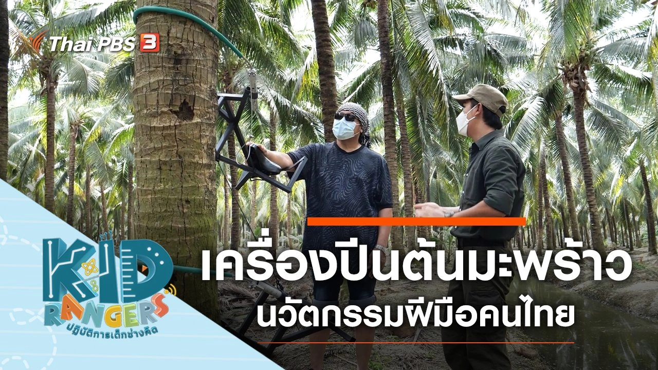 ​เครื่องปีนต้นมะพร้าว