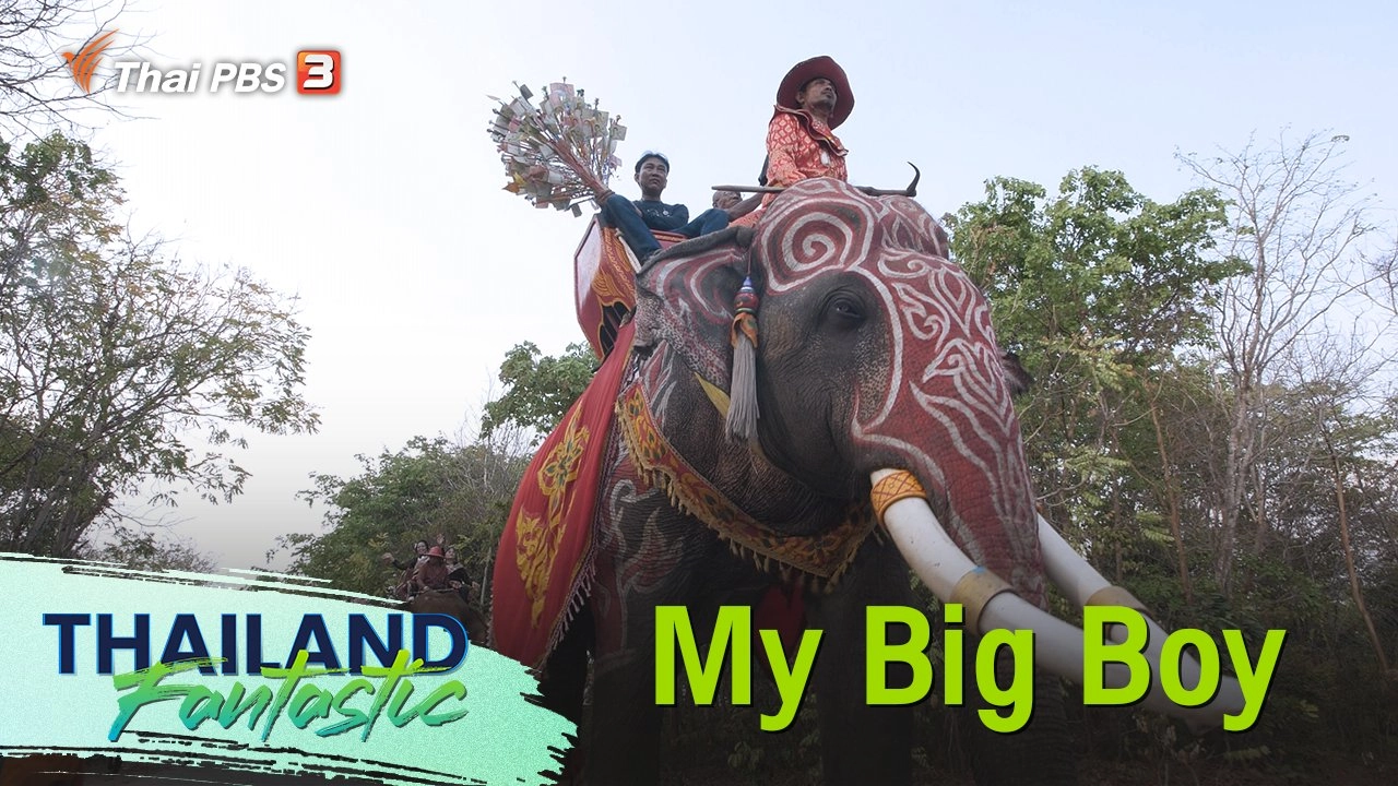 My Big Boy